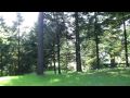 北海道大学植物園 Botanic Garden Hokkaido University の動画、YouTube動画。