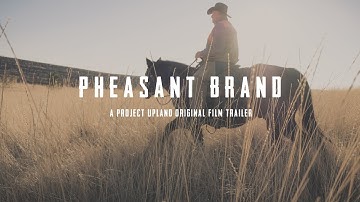 Pheasant Hunting on horseback - Pheasant Brand Trailer - Presented by Dogtra