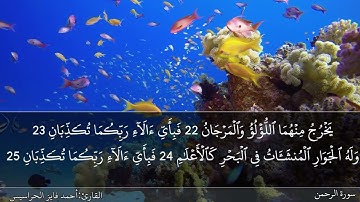 الصفحة 532 سورة الرحمن بصوت القارئ المهندس أحمد فايز الحراسيس
