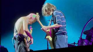 Red Hot Chili Peppers - Californication Jam (2022-09-08 - Washington, D.C.) [SBD]