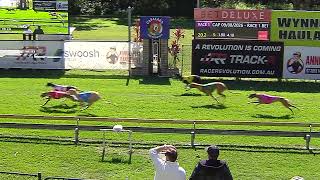 Capalaba-09082026-Race-1