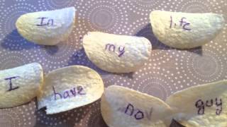 Pringle Single Jingle