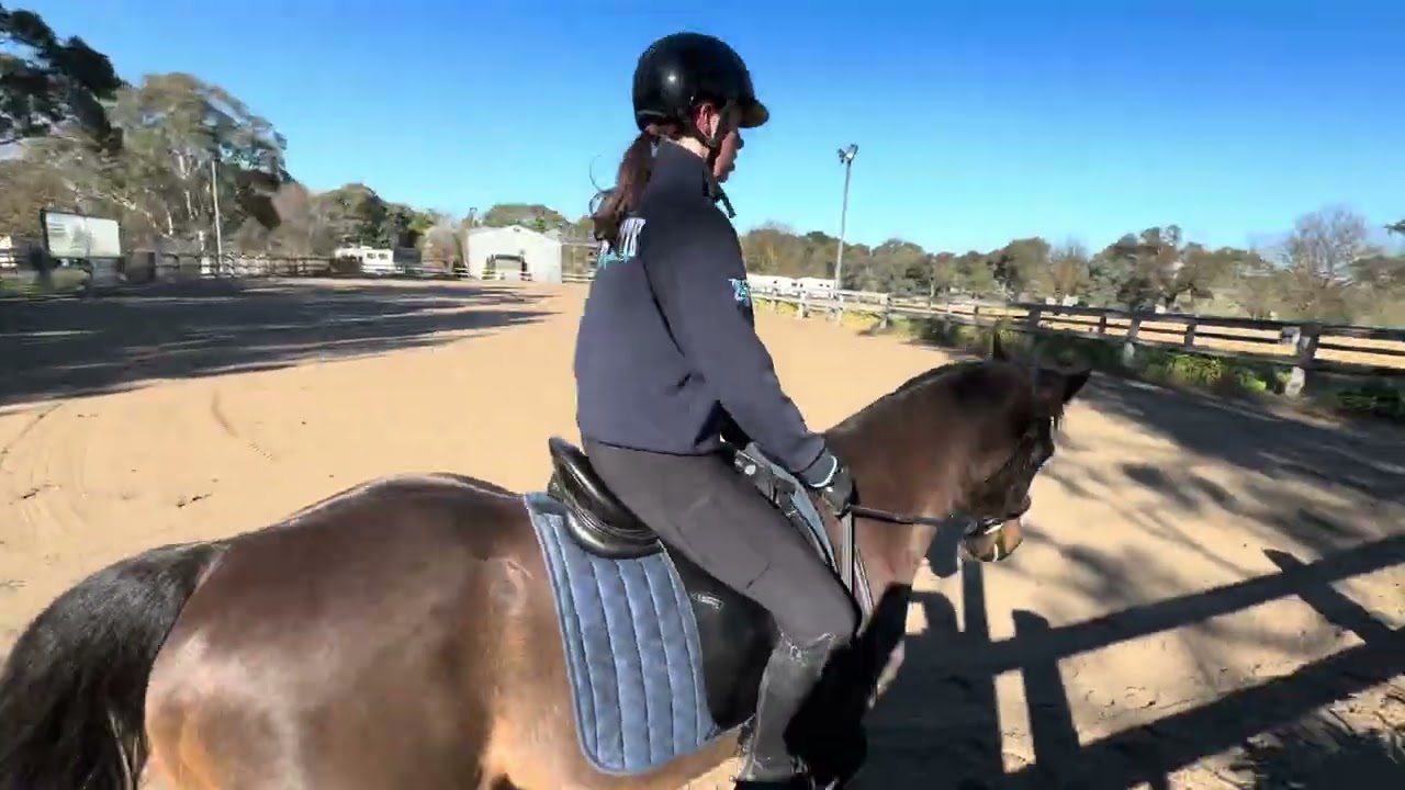 On Centre Line Dressage august competiton entry!