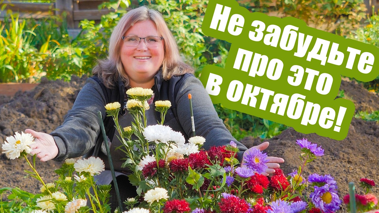 Успейте сделать это в октябре! Все работы в саду и огороде