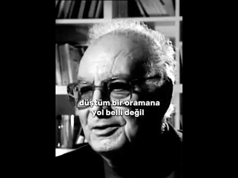Yaşar Kemal’in Orhan