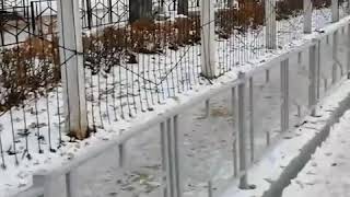 Уфа: общественник о заборах в городе