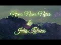 NEVER NEVER NEVER By Julio Iglesias Lyrics 