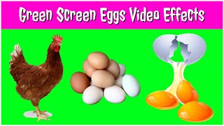 Egg Animated Green Screen Effects | Chroma Key | 3D Video Clips