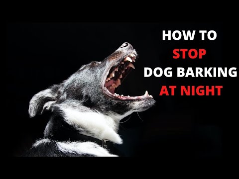 वीडियो: रात में भौंकने से एक बाहरी कुत्ते को कैसे रोकें