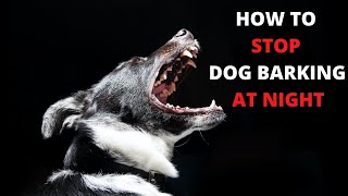 How Can You Stop Dog Barking at Night