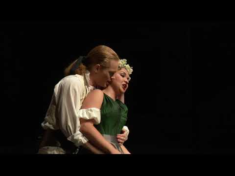 Vienna Ensemble | W.A. Mozart: Le Nozze di Figaro | Part 1/2 | (1. Perfomance)