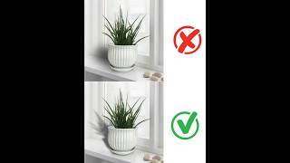 Photoshop 2025 - Create Realistic Drop Shadow For Plants Easy Tips