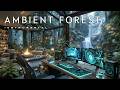 Deep Work Music | Forest Office Ambience ~ Focus Music For Work & Productivity Flow State