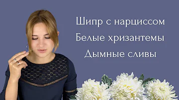 Нарциссовый шипр, запах белых хризантем, зефирный османтус и много слив: ароматы russian niche fest