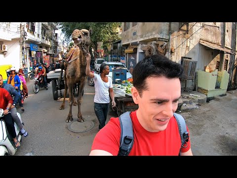 Exploring the Crazy Streets of Jaipur, India 🇮🇳
