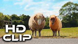 THE SHEEP DETECTIVES 