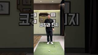이 느낌 몸에 입히기! #골프레슨 #골프레슨영상 #golfswing #골프스윙 #golftips #골프