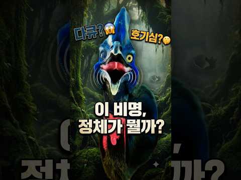 들으면 잠 다 깨는 세상에서 가장 이상한 새 소리 TOP 16 #다큐멘터리 #동물 #이상한새소리 thumbnail