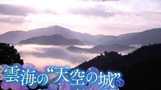 【美景】“天空の城”　雲海の中の“日常”　兵庫･朝来市【Cameraman’s Eye】