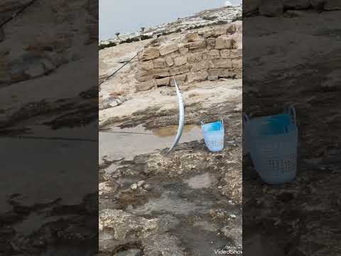 هانت عليك مدامعي فهجرتني