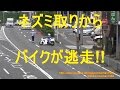 白バイ 緊急走行2連発!! スピード違反バイクがUターンして逃走する瞬間!!