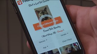 Ozarks FOX AM - Kallie Koester Finding Rover