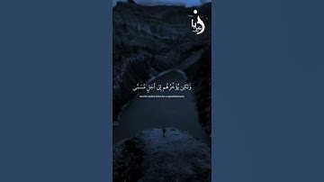 ولو يؤاخذ الله الناس بظلمهم |سورة النحل الأيه 61/القارئ عبدالرحمٰن مسعد #زكريا_الشنيف