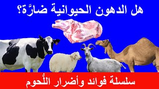 Animals Fats | هل الدهون الحيوانية مضرة | الدهون الحيوانية و السكري والضغط  والأمراض المزمنة