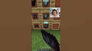Minecraft Invincible Armor Trim (Feel It)