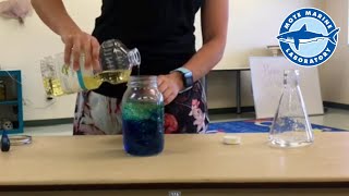 SEA Science at Home | Ocean in a Bottle