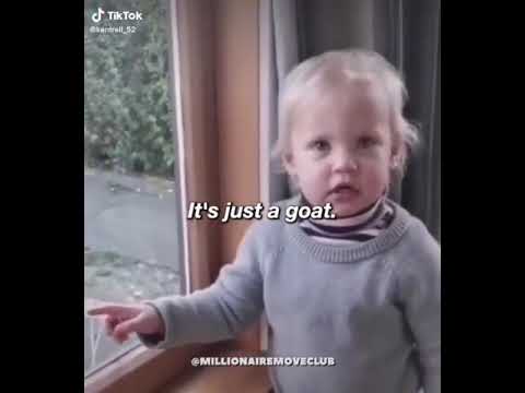 Toddler Can T Stop Swearing At Goat Shorts Tiktok Funny Kids Toddlers