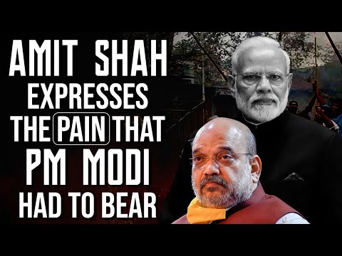 PM Modi didn't say a word after SC verdict yesterday, but Amit Shah minced no words