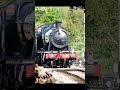 GWR 2-8-0 2807 restarts from a signal stop at Winchcombe GWSR, 23/5/26 #steam #freight #railway