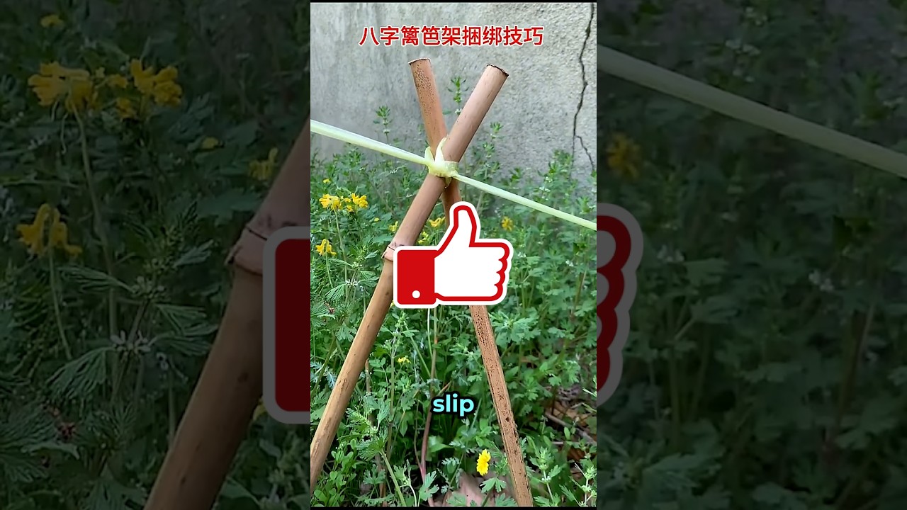 Gardening knot trick kit