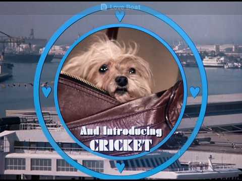 The Love Boat Fantasy Cast