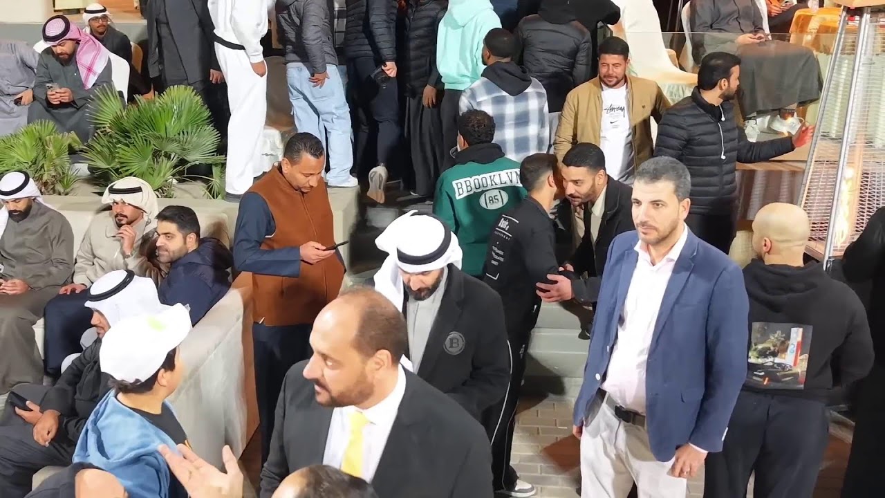 بطوله المرجان للخيول العربية