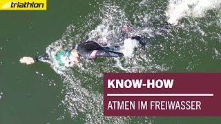 How do I breathe while swimming in open water | KNOW-HOW