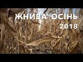 Жнива посівна осінь 2018