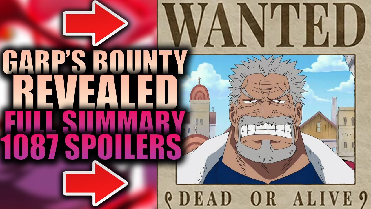 ☠️ Calling All Pirates! Unveiling the Grand Bounty: One Piece Ex