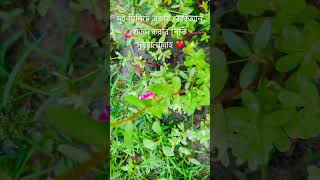সুবহানাল্লাহ সুবহানাল্লাহ ❤️❤️❤️@AirinSheikh-m2p #motivational #shortvideo