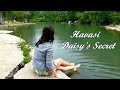 Havasi -  Daisy&#39;s Secret