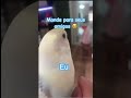 Manda pros seus amigos 🥹
