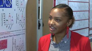 Undergrad research at UofL