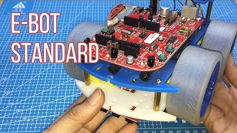 e-Bot Standard Review