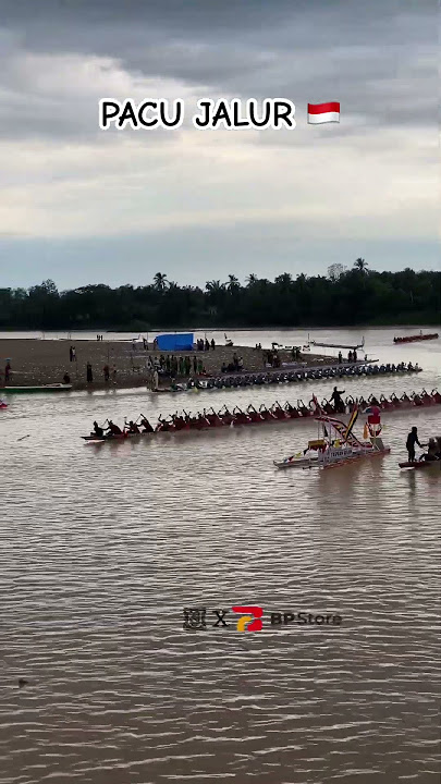 PACU JALUR GAGAL DI LEPAS🇮🇩 #pacujalur #pacujalur2025 #woodwork #aurafarming