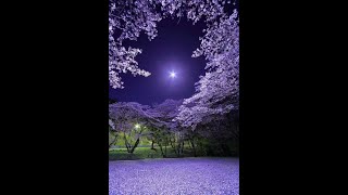 ZOVIN - All the Lights and Your Eyes screenshot 1