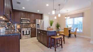 829 Date Palm Lane St video tour