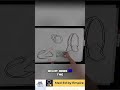 Liver Anatomy: IVC, Hepatic Vein, and Right Atrium Explained #shorts