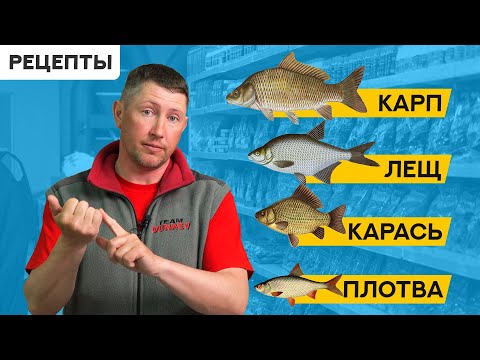 Видео: ГОТОВЫЕ рецепты на КАРАСЯ, ЛЕЩА, КАРПА, ПЛОТВУ + Разбор ароматизаторов