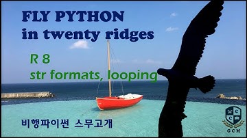 FlyPythonR08. str formats, looping